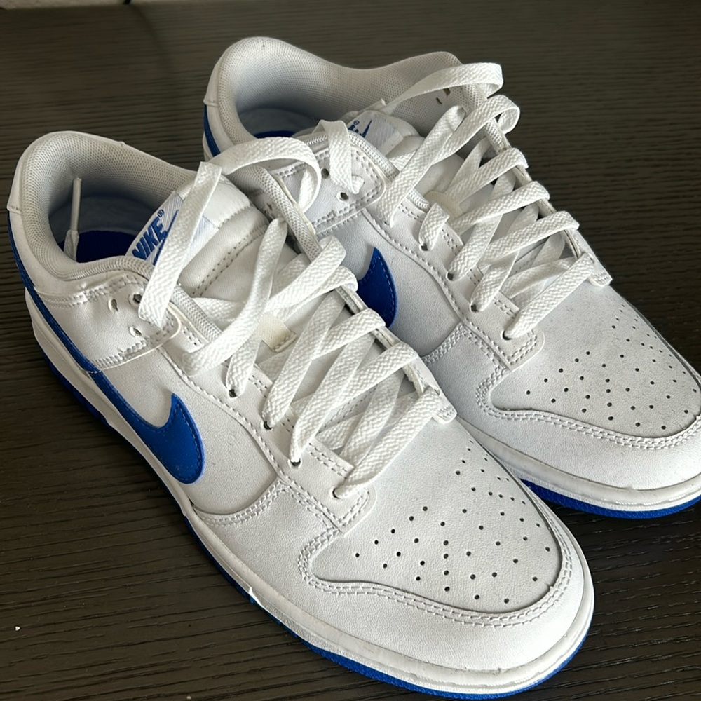 Men’s size 7 dunks
